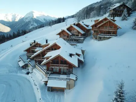 Chalet luxe 6 chambres, accès direct aux pistes à Villard Reculas : photo 34