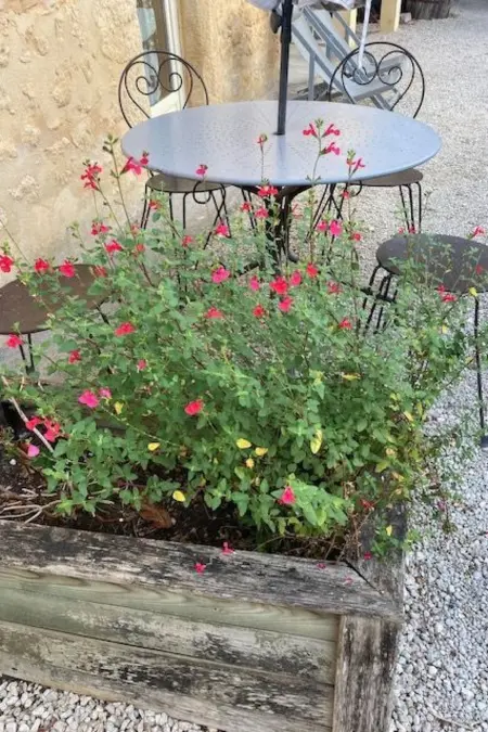 les Milandes in Sainte-Mondane, Maison 2 personnes à Carlux - Photo 7