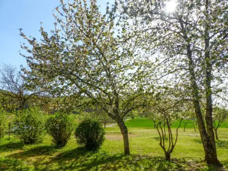Beynac in Sainte-Mondane, Maison 7 personnes à Carlux - Photo 15
