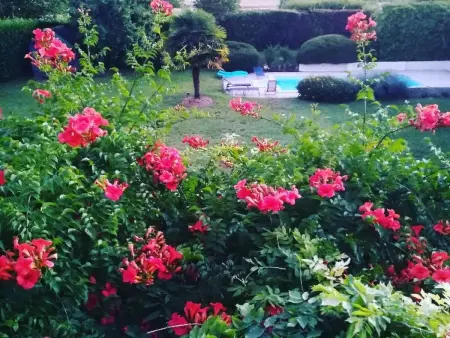 Ehemaliger Bauernhof Le Bonheur in Sainte-Mondane - Photo 12