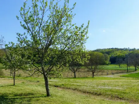 2oppelhaushälfte in einem alten Bauernhof im Périgourdine - Photo 7