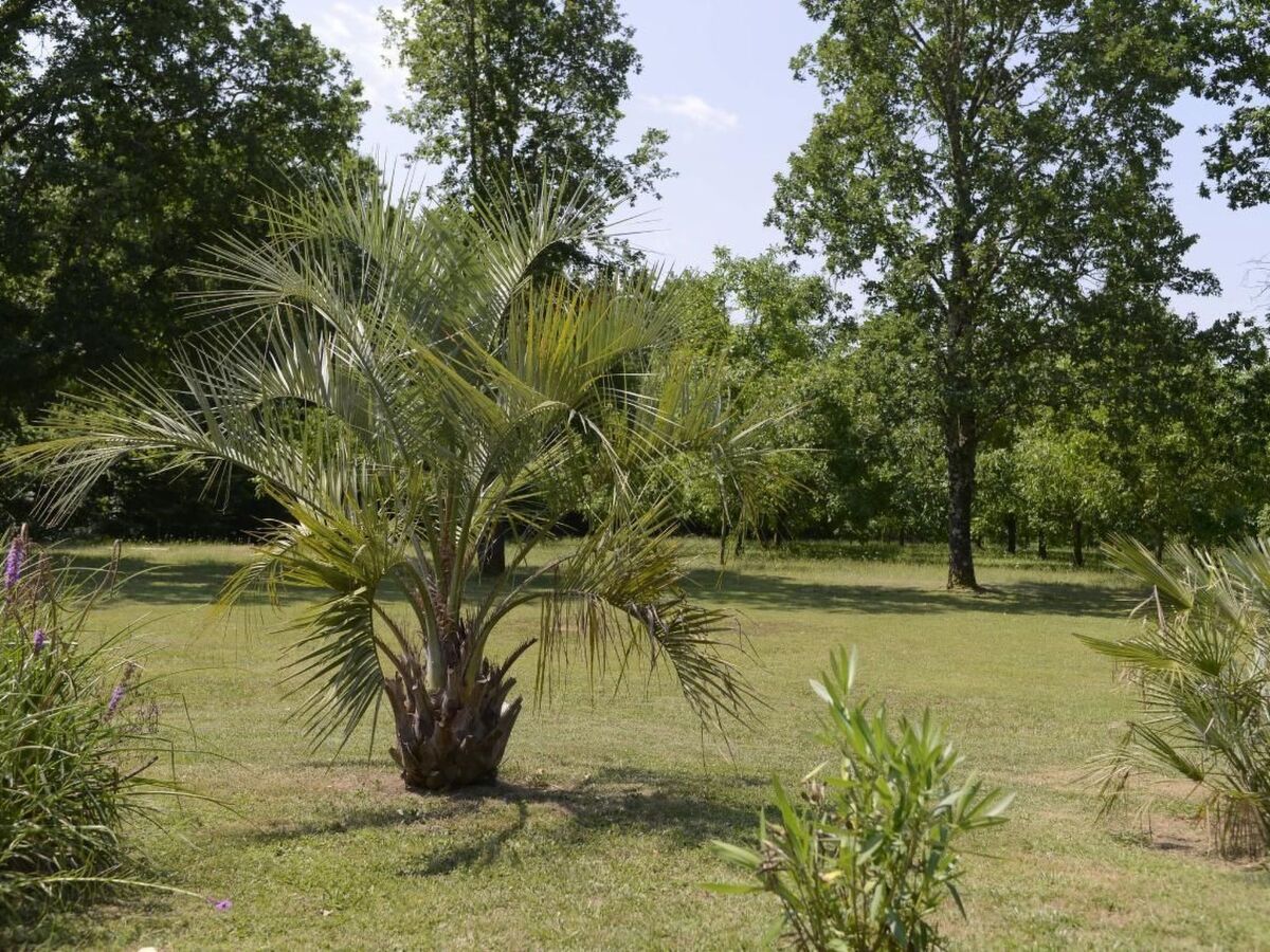 Villa DUXCAAR - Maison 7 pers., piscine 23 000 m² - Photo 39