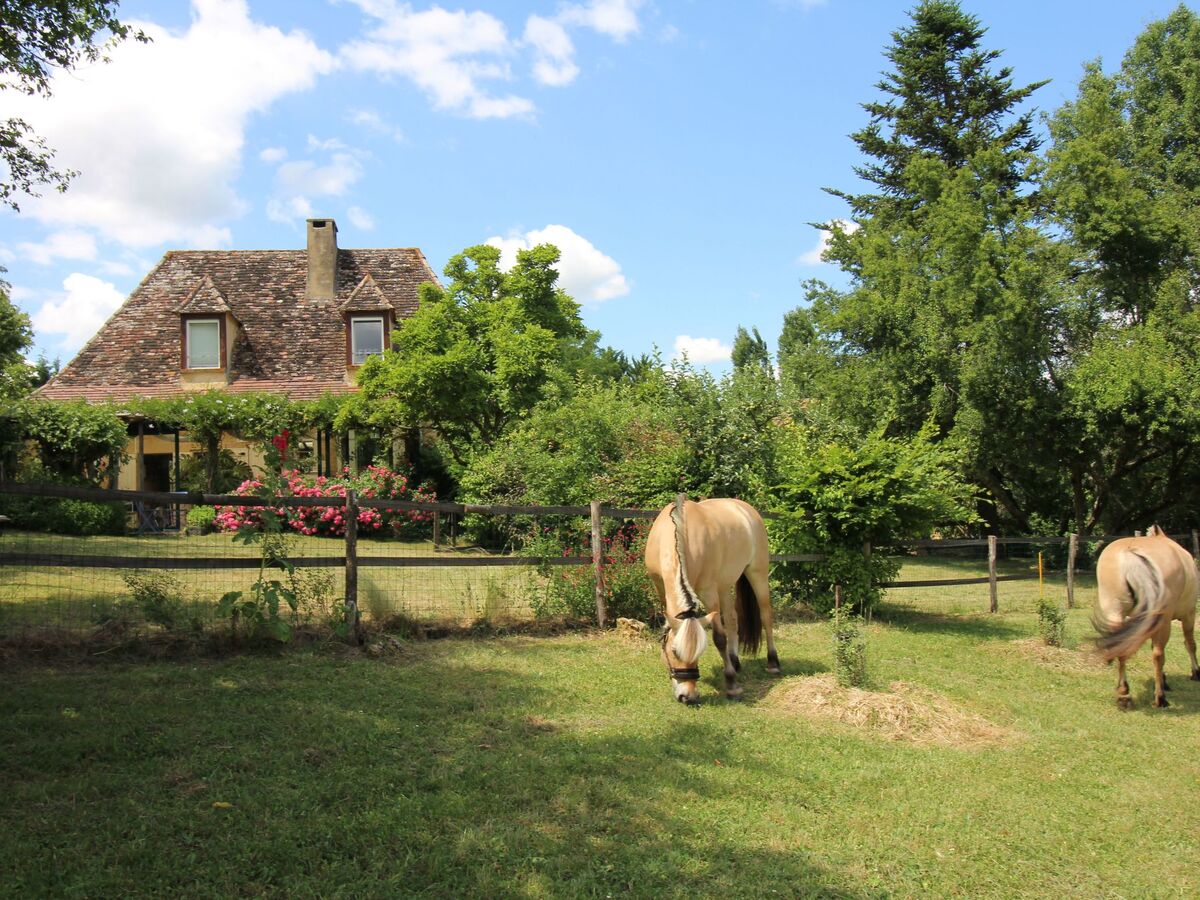 Gîte Lamarmette : maison 10 ha, piscine privée, Bergerac - Photo 14