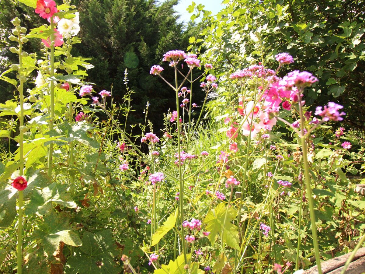 Gîte Lamarmette : maison 10 ha, piscine privée, Bergerac - Photo 24