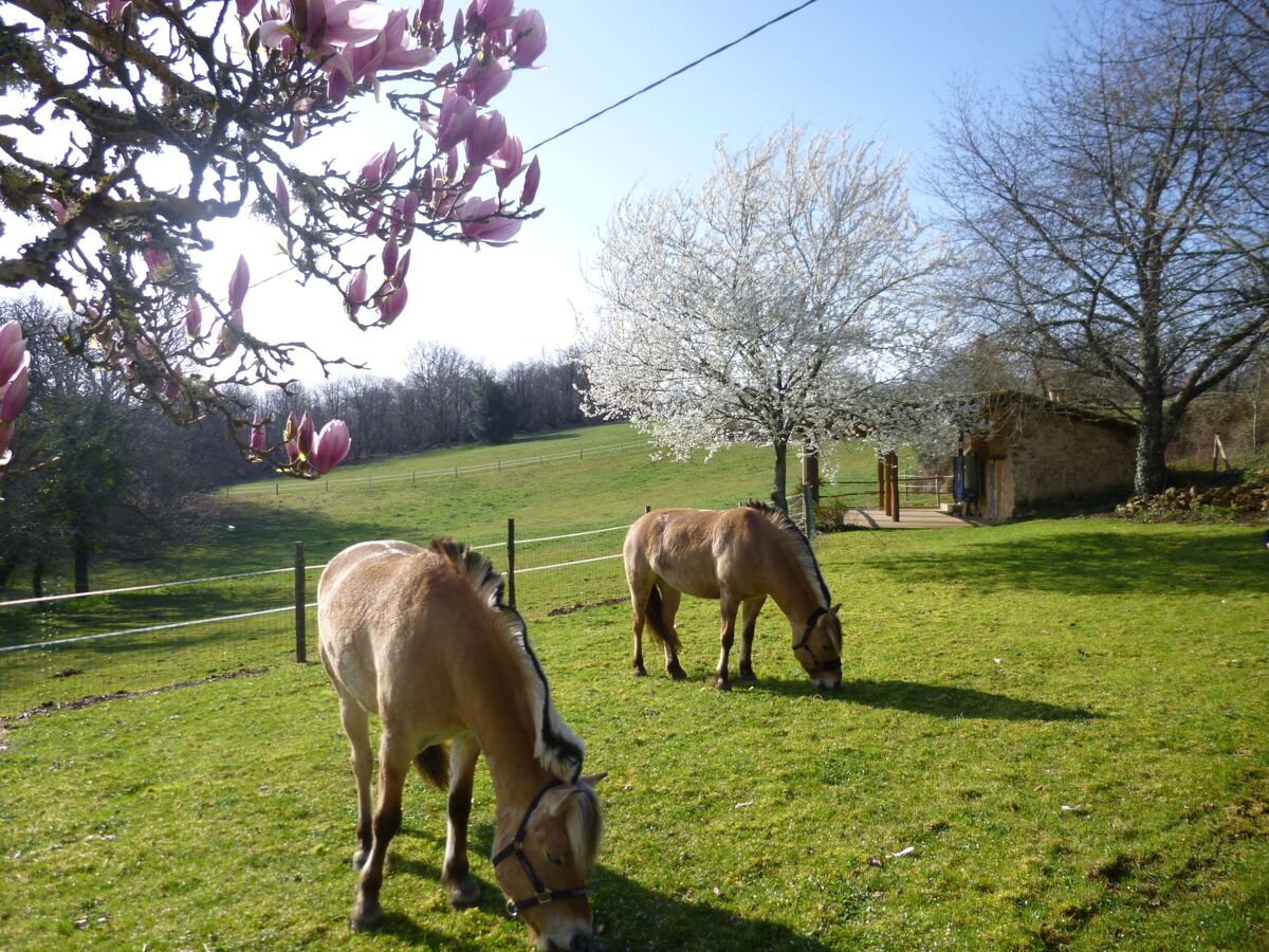 Gîte Lamarmette : maison 10 ha, piscine privée, Bergerac - Photo 26