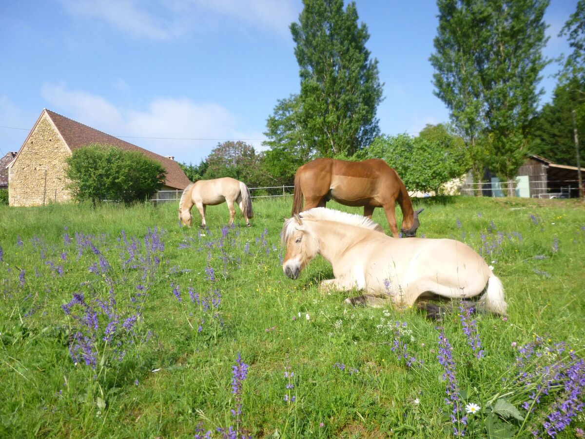 Gîte Lamarmette : maison 10 ha, piscine privée, Bergerac - Photo 28