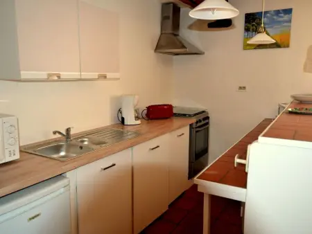 Studio 45m² avec terrasse et piscine à Souillac : photo 14