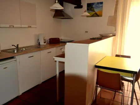 Studio 45m² avec terrasse et piscine à Souillac : photo 15