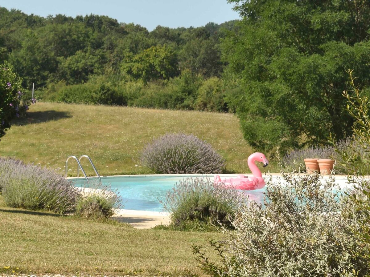 Domaine de Ravel - Maison 8 personnes, piscine & 7 hectares - Photo 17