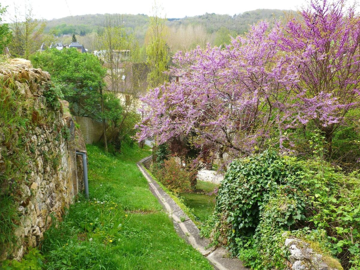 Maison individuelle 1800 Couze-et-Saint Front, terrasse 30m² - Photo 18
