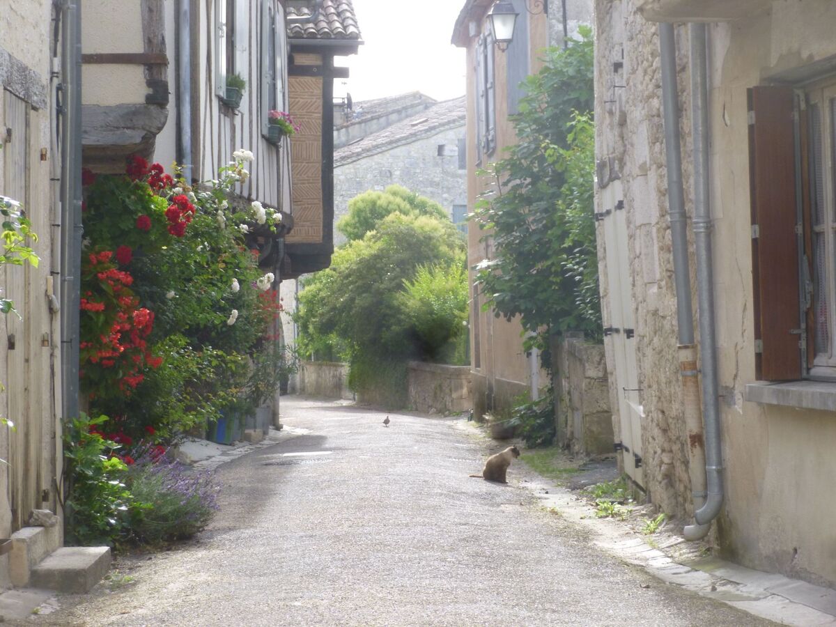 Maison Périgourdine 17e siècle, jardin 1200m², 4 pers. - Photo 29
