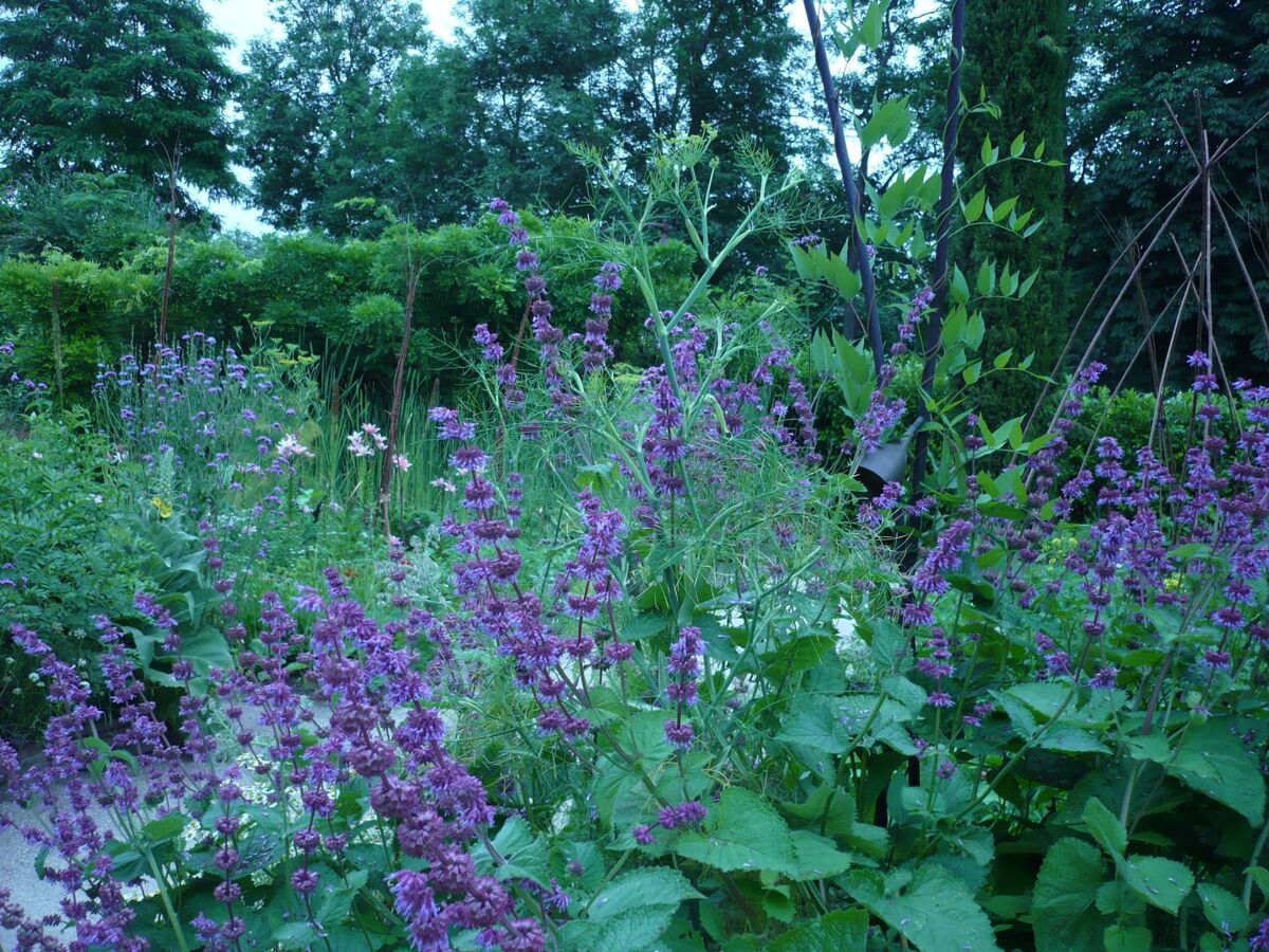Maison Périgourdine 17e siècle, jardin 1200m², 4 pers. - Photo 33