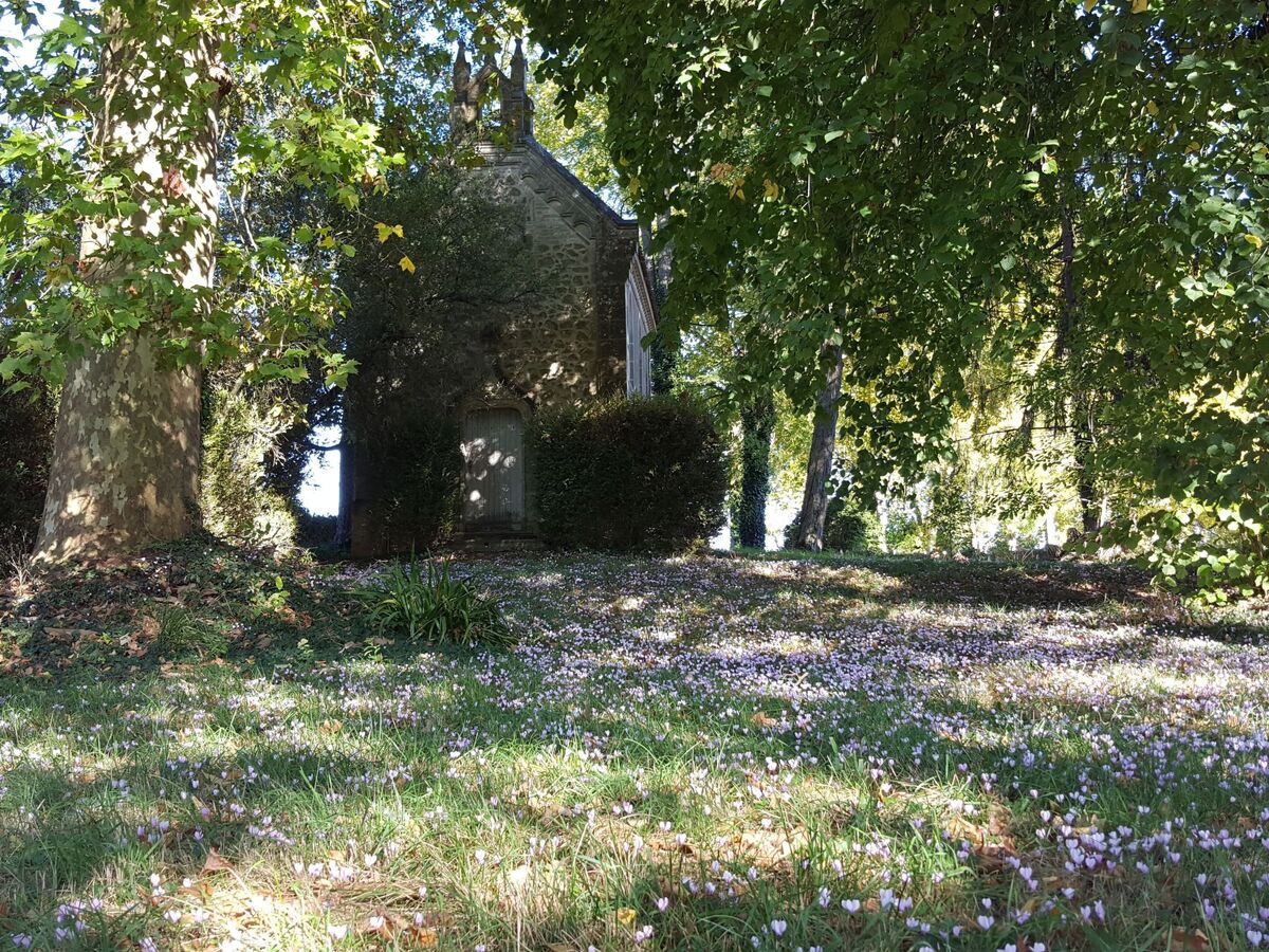 Le Pavillon – Maison avec piscine privée au parc du château - Photo 33