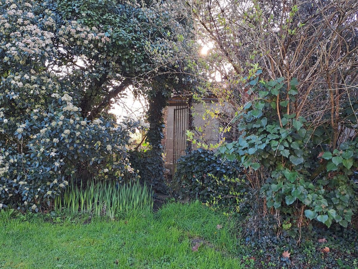 Le Pavillon – Maison avec piscine privée au parc du château - Photo 36