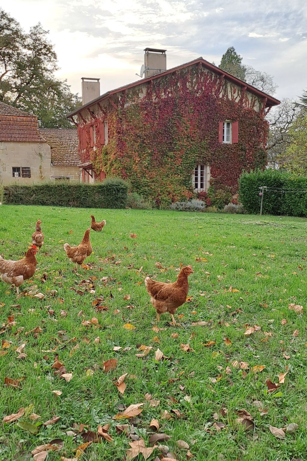 Le Pavillon – Maison avec piscine privée au parc du château - Photo 37