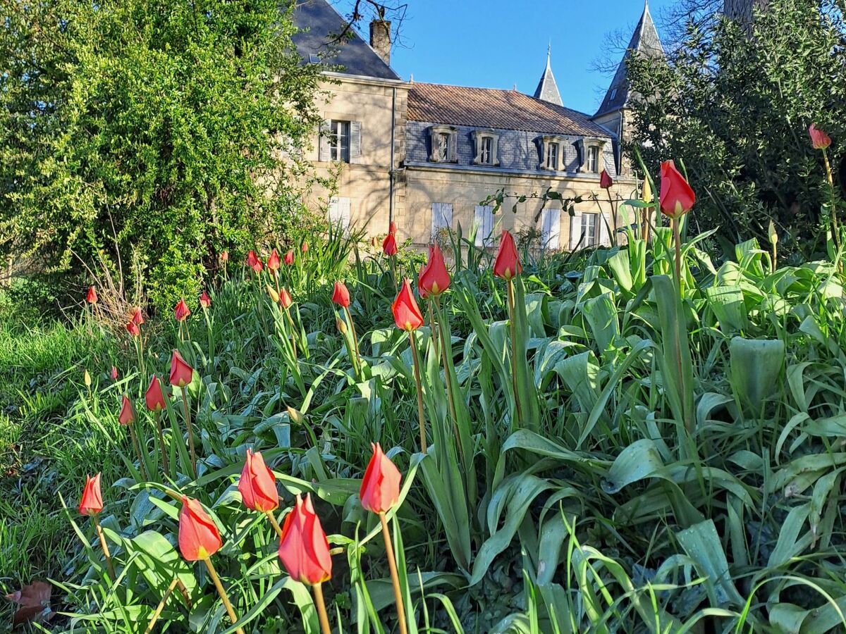Le Pavillon – Maison avec piscine privée au parc du château - Photo 40