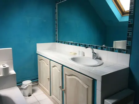 Maison XVIe siècle, 3 chambres 3 salles de bain à Beaumont-en-Véron : photo 18