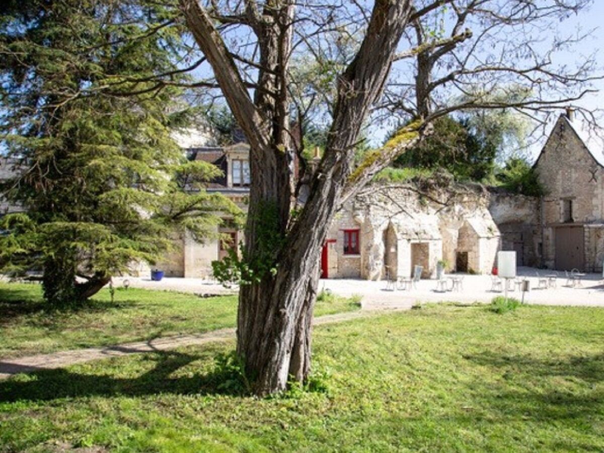 Duplex troglodyte 100m² avec piscine à Azay-le-Rideau - Photo 61