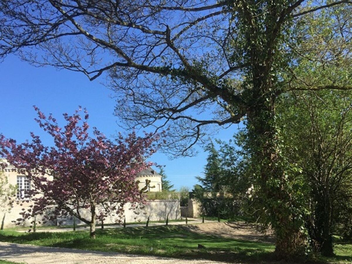Cottage duplex 70m² avec piscine à Azay-le-Rideau - Photo 27
