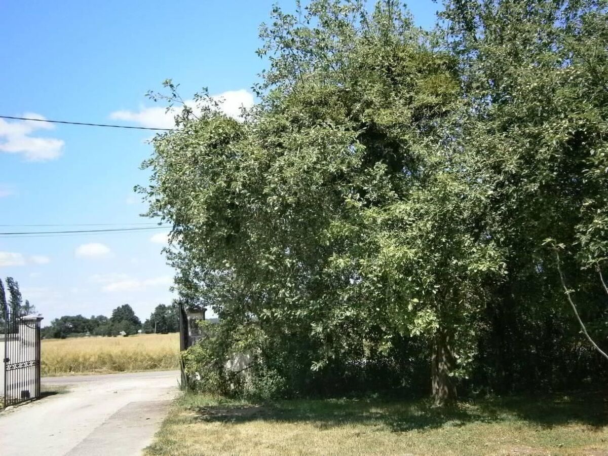 Le Gîte du Randonneur à Sennecey-le-Grand - Photo 11