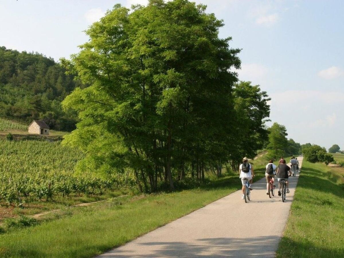 Le Gîte du Randonneur à Sennecey-le-Grand - Photo 13