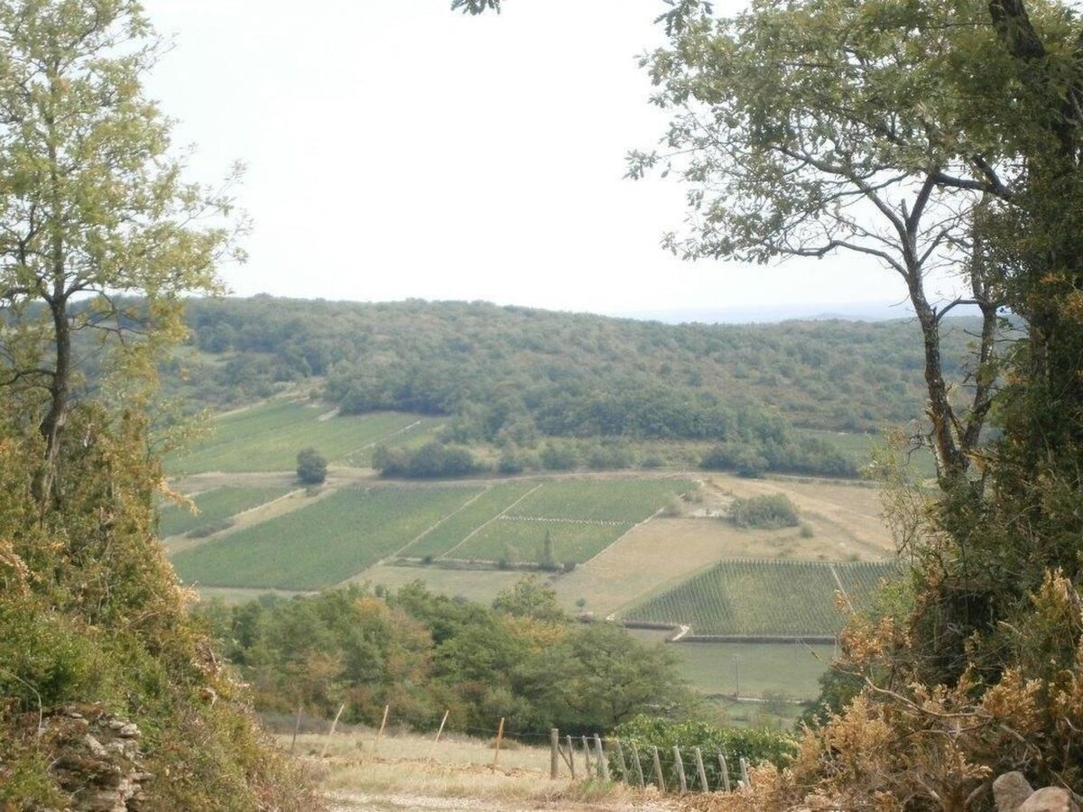 Le Gîte du Randonneur à Sennecey-le-Grand - Photo 15