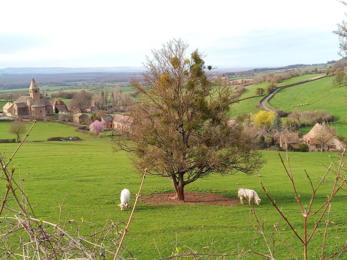 Maison plain-pied Bourgogne, randonnée et vignobles - Photo 19