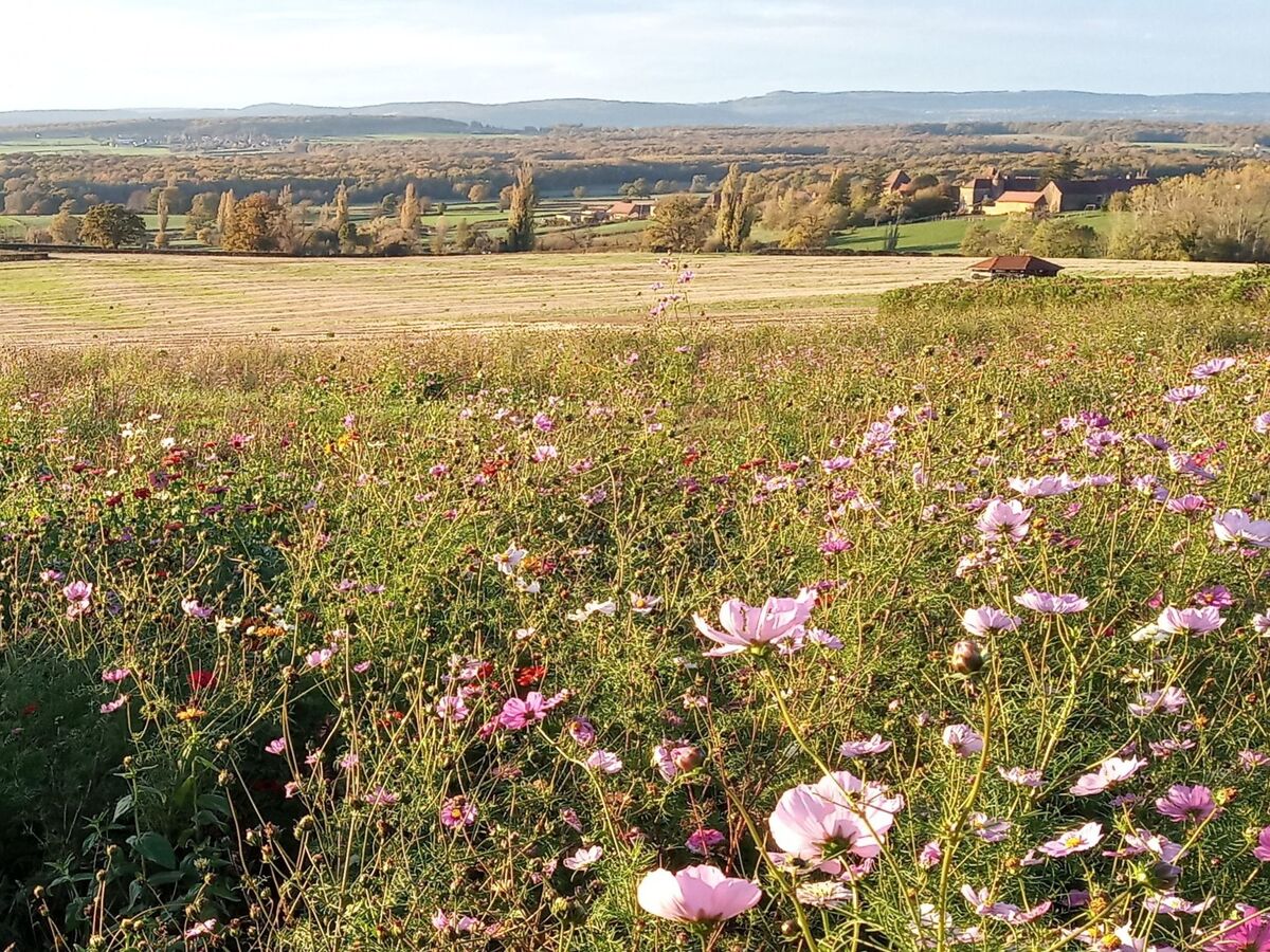 Maison plain-pied Bourgogne, randonnée et vignobles - Photo 20