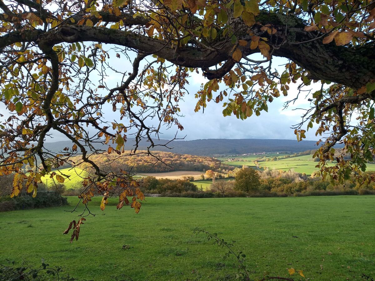 Maison plain-pied Bourgogne, randonnée et vignobles - Photo 21