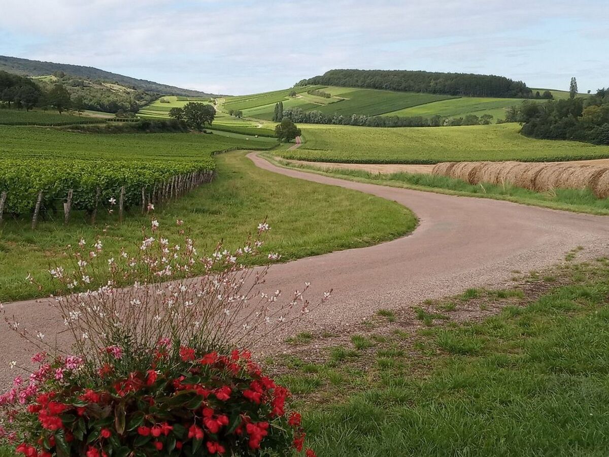 Maison plain-pied Bourgogne, randonnée et vignobles - Photo 23