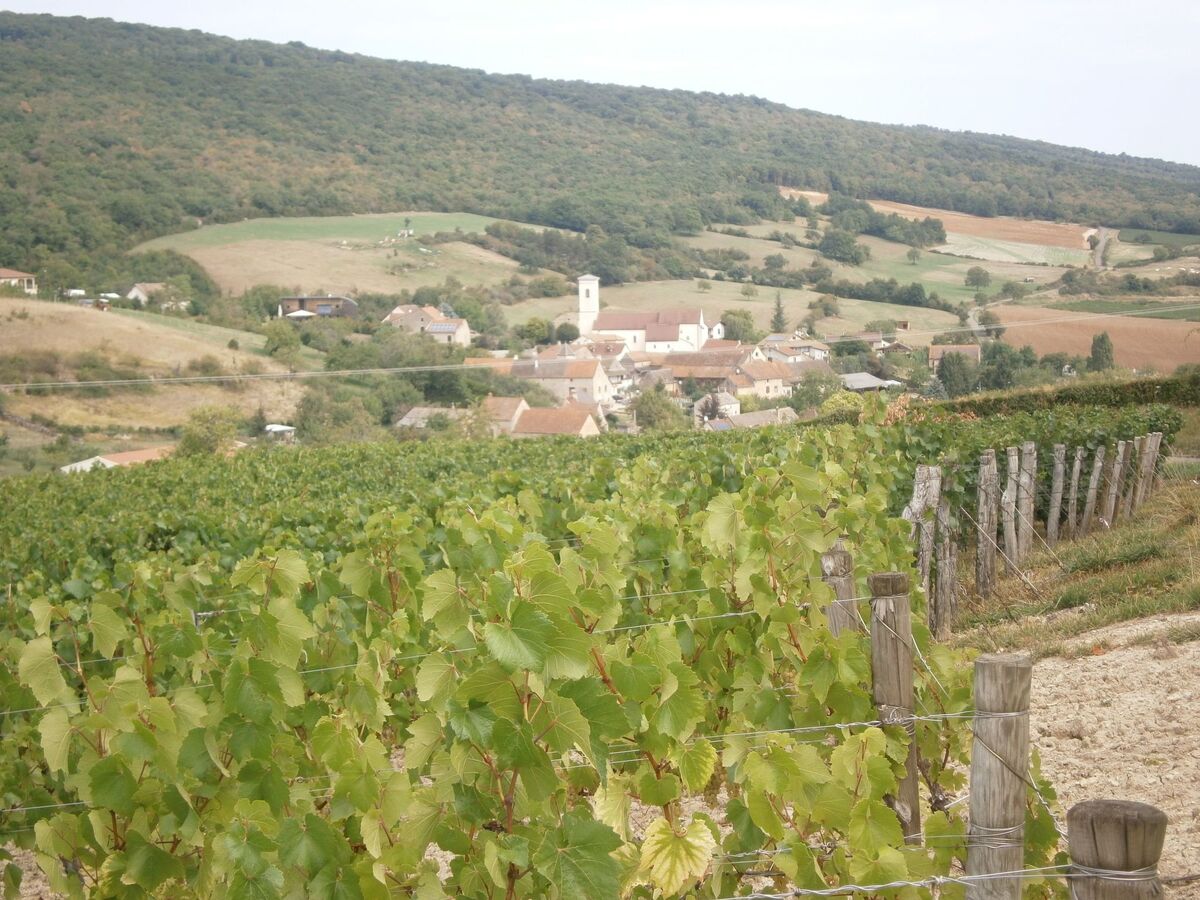 Maison plain-pied Bourgogne, randonnée et vignobles - Photo 25