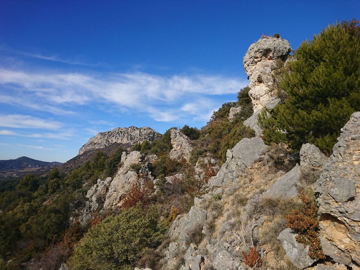 Lou Pitchot Maximénet Le cerf - Appt 6 pers à Buis-les-Baronnies - Photo 18