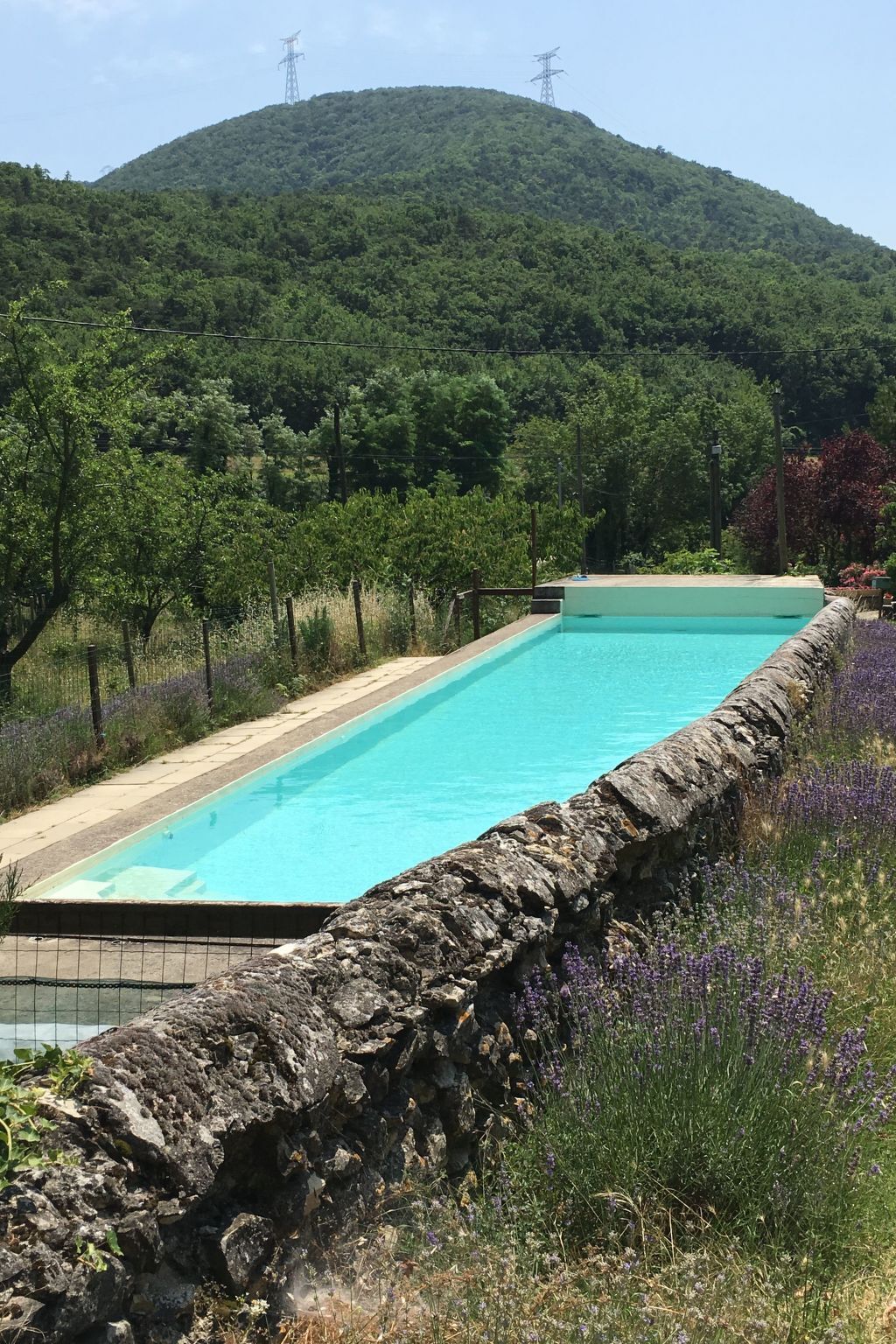 Maison 4 chambres à la ferme bio, piscine 18m - Photo 14