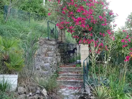 Maison 3 chambres piscine privée sud Ardèche : photo 36