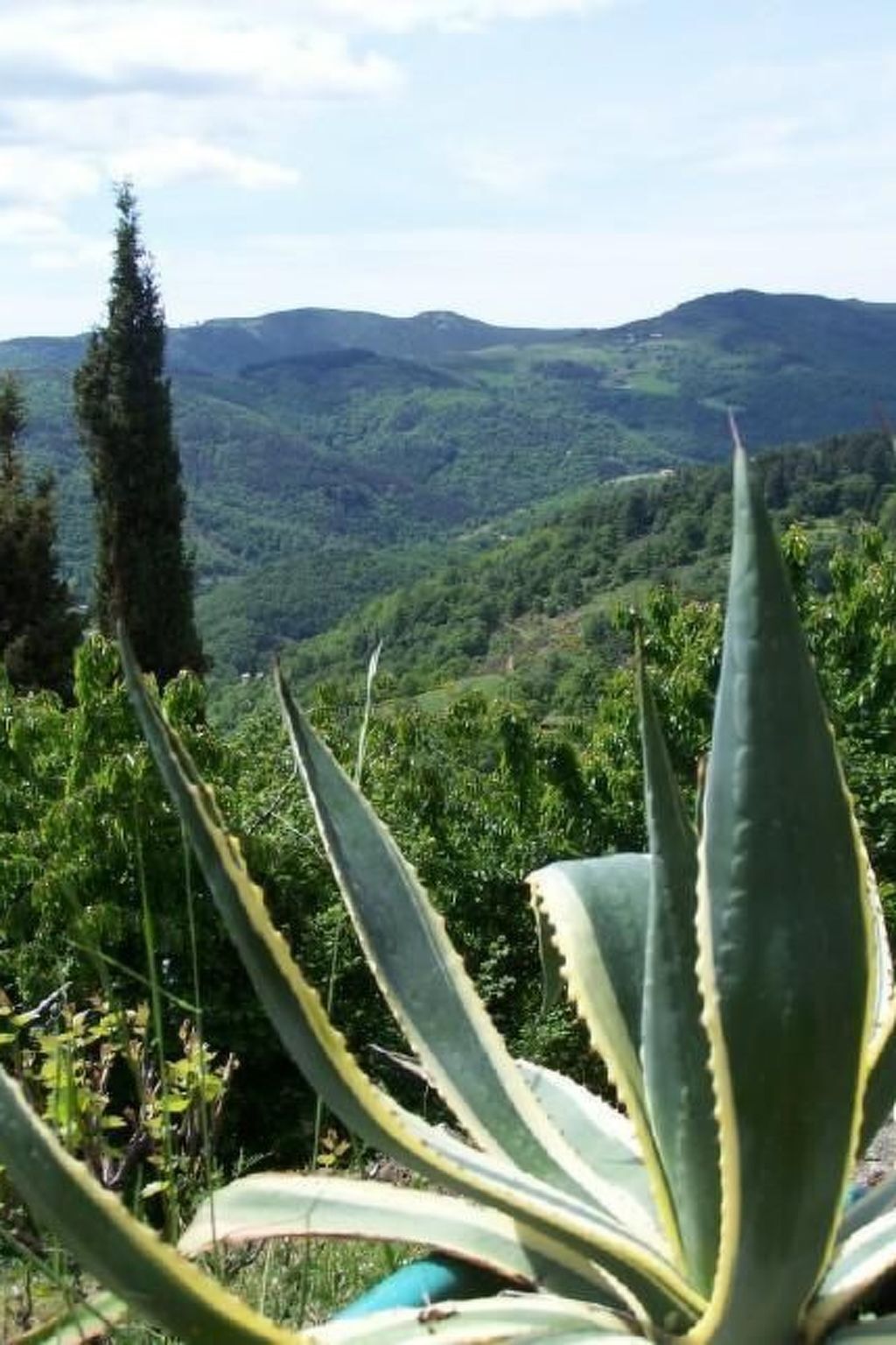 Maison en pierre du XIVe siècle à Gluiras, vue vallée de la Glueyre - Photo 19
