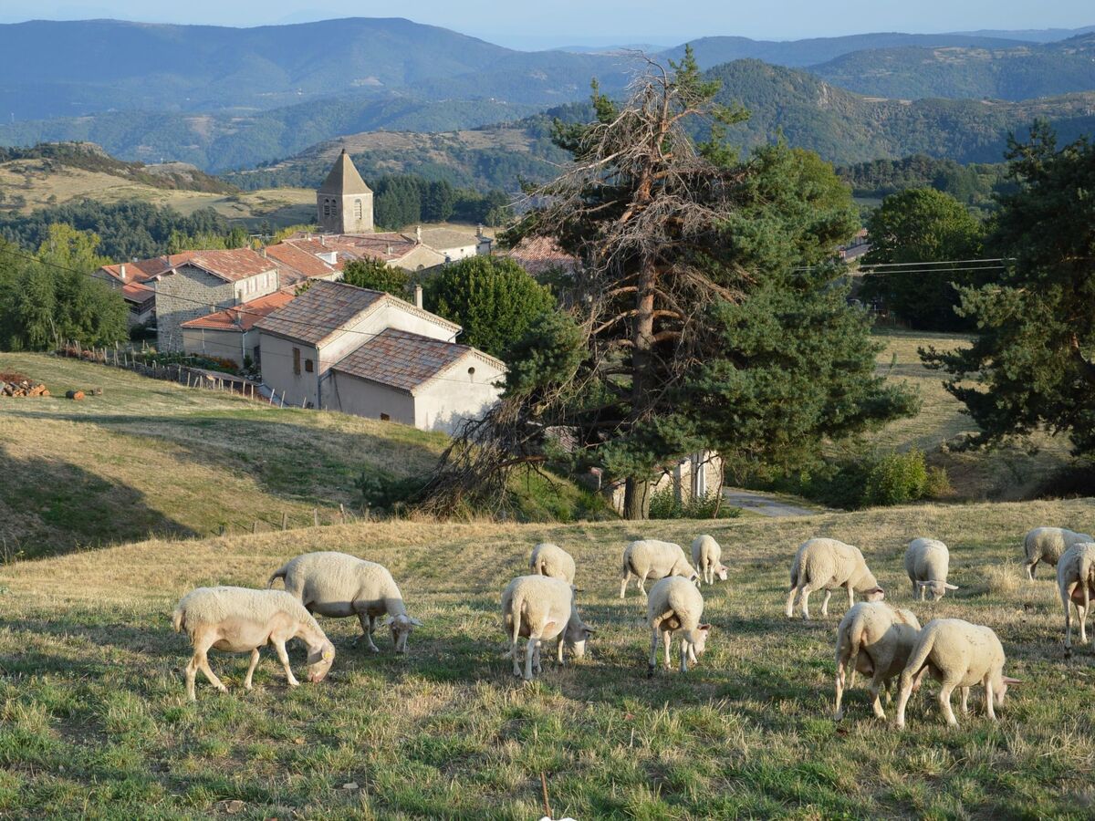 Les Glycines – Maison 6 chambres, vue Monts d'Ardèche - Photo 28