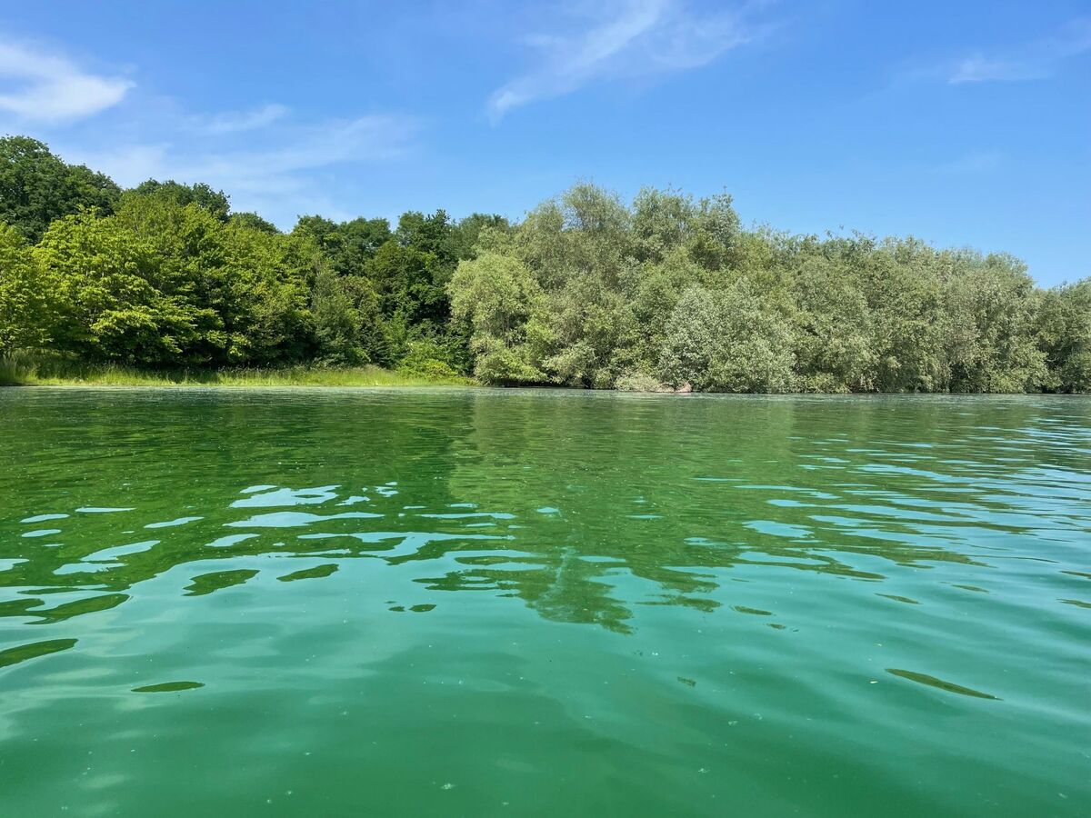 Chalet climatisé au lac du Der pour 7 personnes - Photo 14