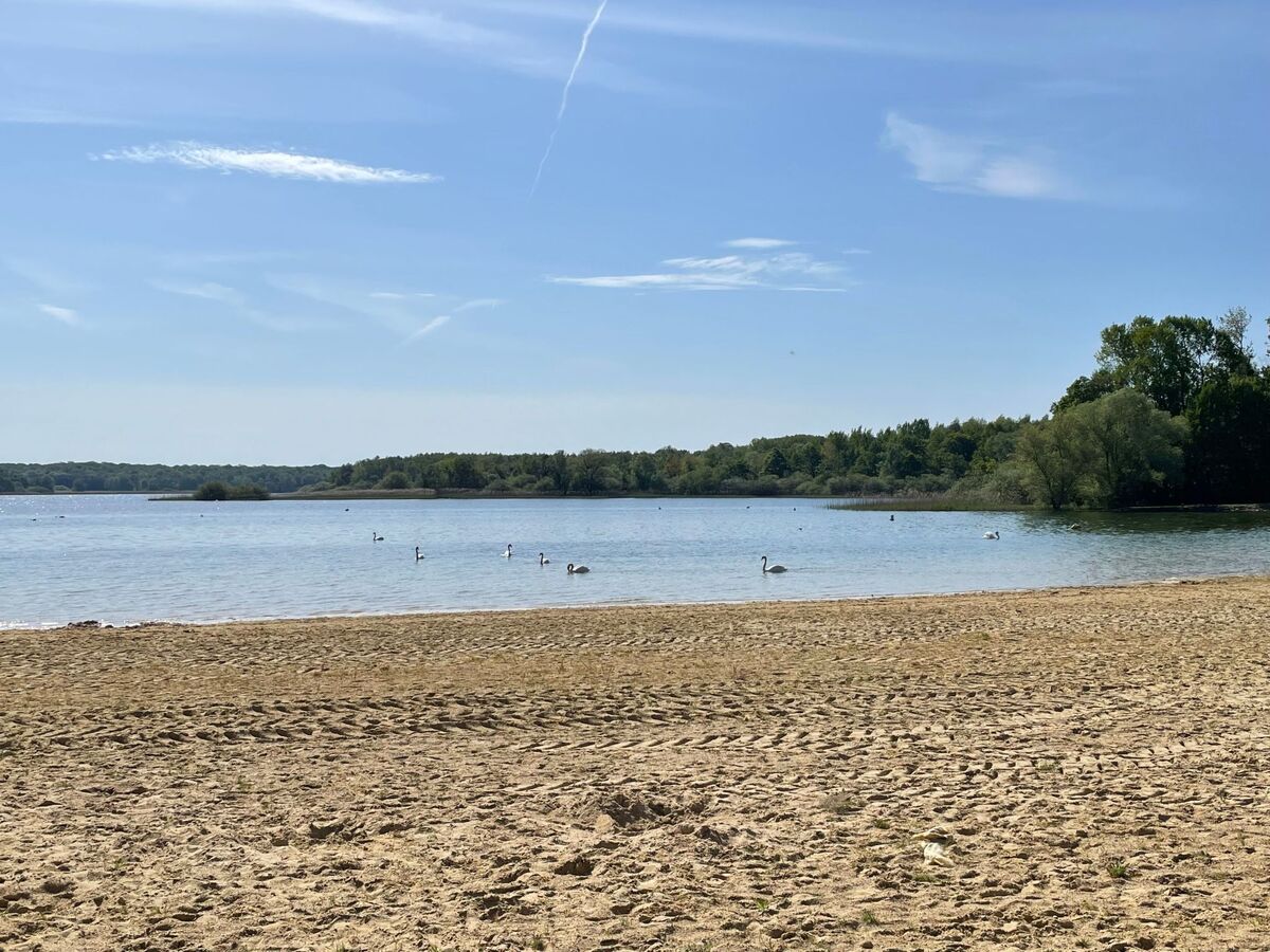 Chalet climatisé au lac du Der pour 7 personnes - Photo 15