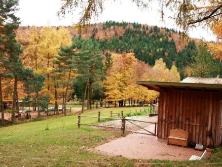 Maison historique 4 chambres avec sauna et chevaux : photo 30