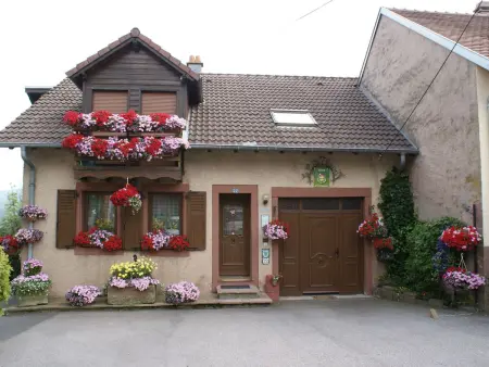 Location maison à Haselbourg, Das Gîte Fleuri mit einer herrlichen Aussicht