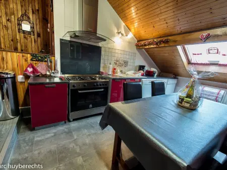 Maison 3 pers. à Haselbourg, vue panoramique Vosges : photo 8