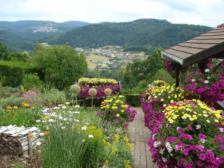 Maison 3 pers. à Haselbourg, vue panoramique Vosges : photo 22