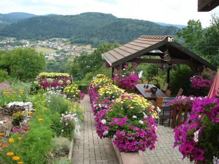 Maison 3 pers. à Haselbourg, vue panoramique Vosges : photo 24
