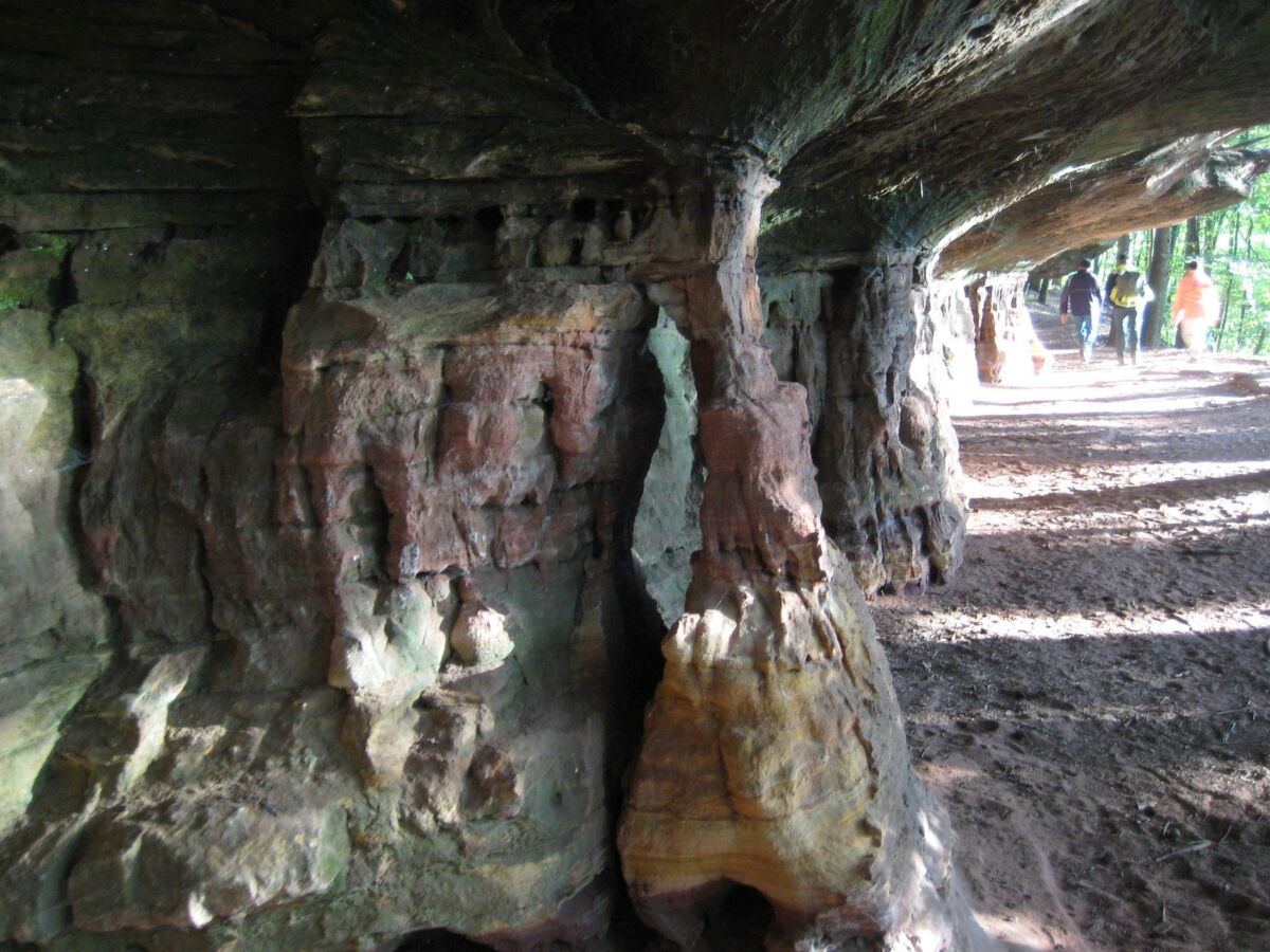 Appartement Les Brimbelles - Loggia sud à Hottviller - Photo 24