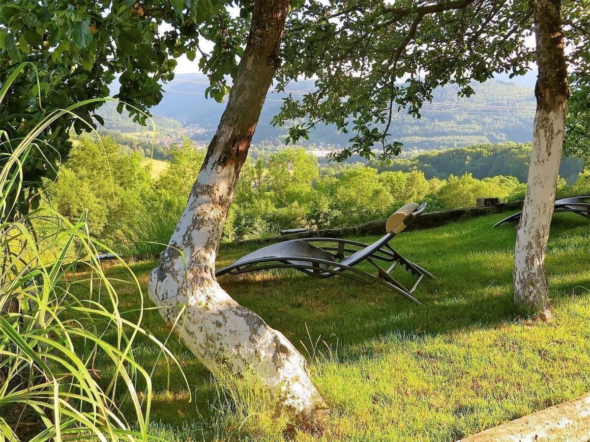 Villa La Folie des Vosges – Maison 10 pers., jardin 1 ha - Photo 5