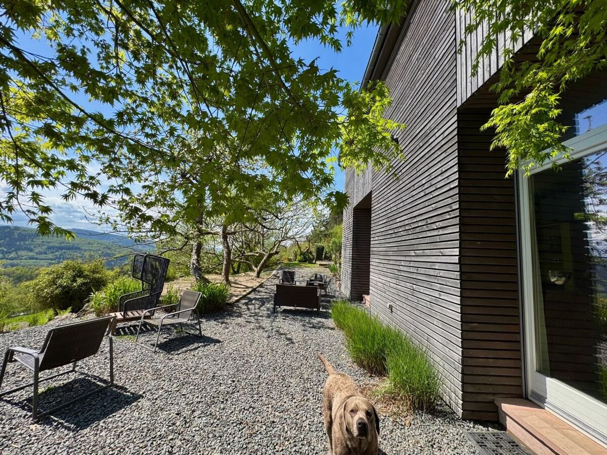 Villa La Folie des Vosges – Maison 10 pers., jardin 1 ha - Photo 38