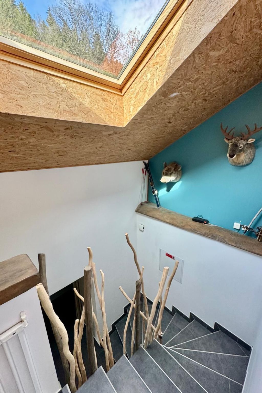 Villa La Folie des Vosges – Maison 10 pers., jardin 1 ha - Photo 39