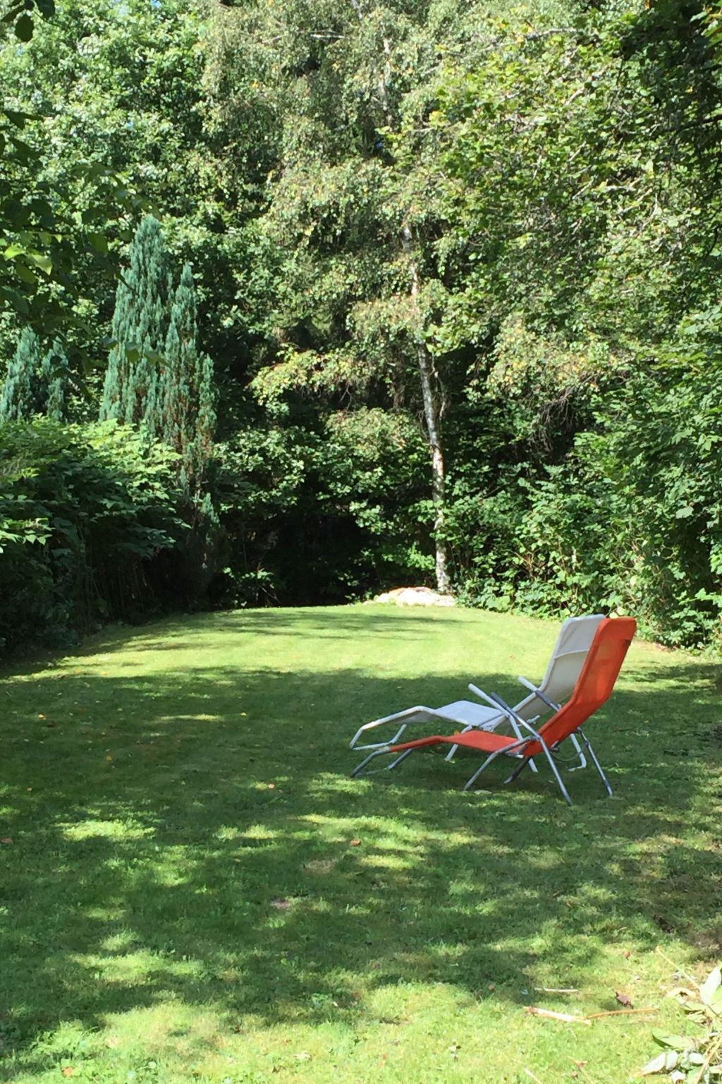 Maison de campagne 5 personnes, jardin clos à Ventron - Photo 3