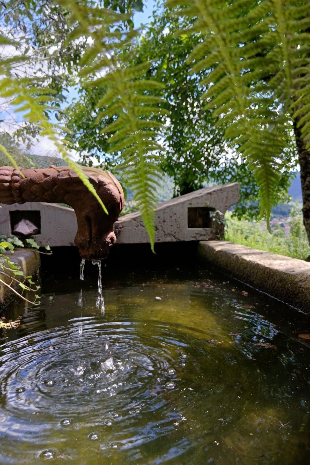 Maison de campagne 5 personnes, jardin clos à Ventron - Photo 21