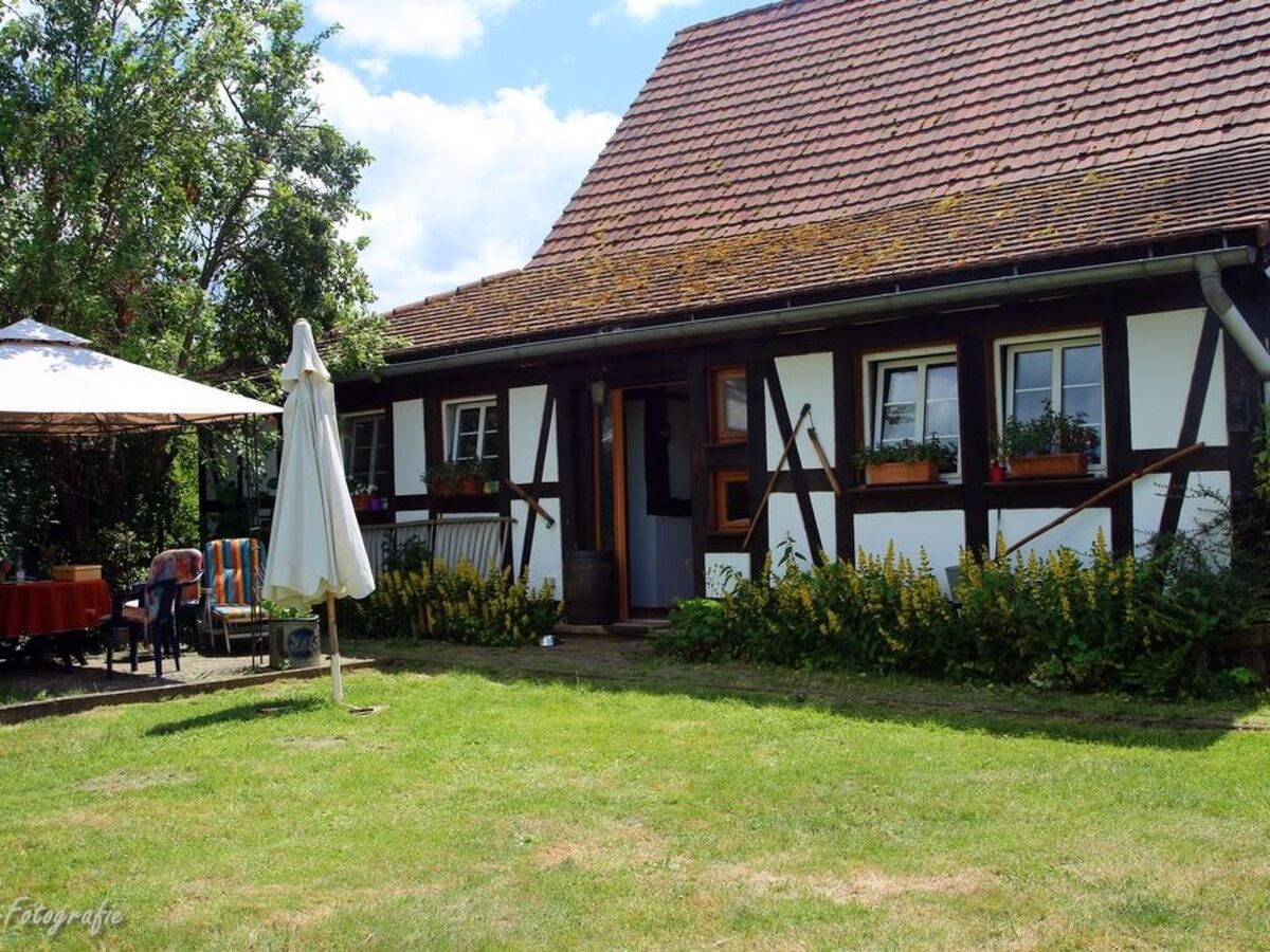 Appartement Maison Fleurie – grange rénovée à Schwabwiller - Photo 1